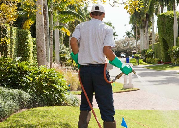 About Northern Cambria PA Pest Control Pros